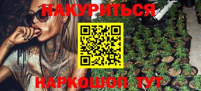 гашик Тверь
